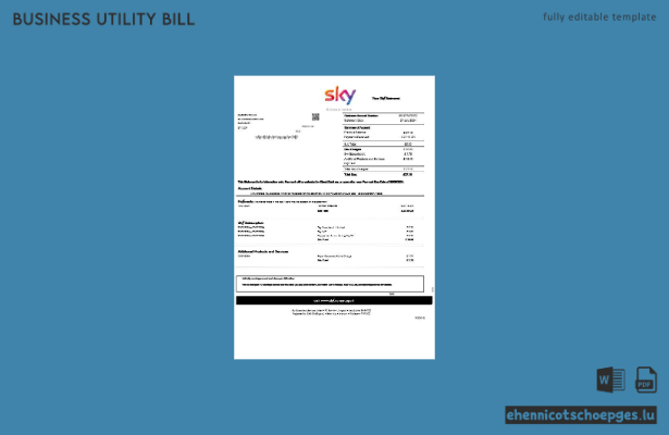 Beispiel einer Sky-Geschäftsrechnung aus Großbritannien (Vorschau)
